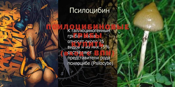 дмт Абаза