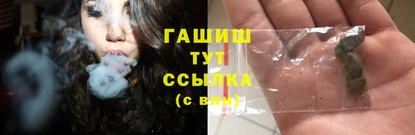 дмт Абаза
