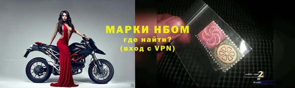 сатива Абинск