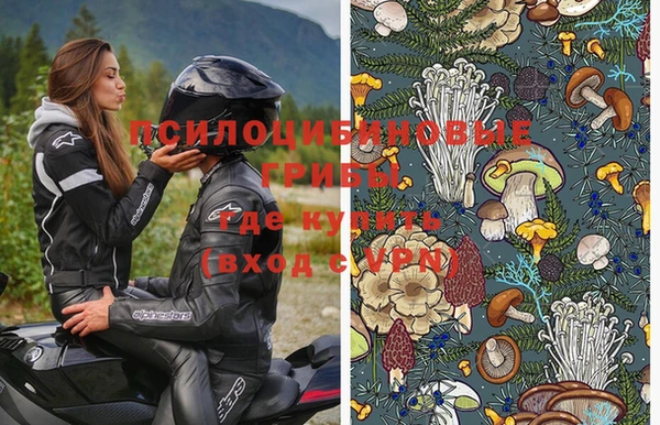 дмт Абаза