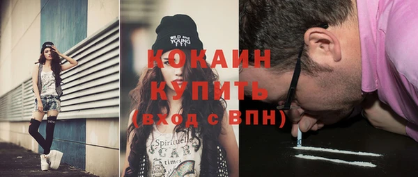 сатива Абинск