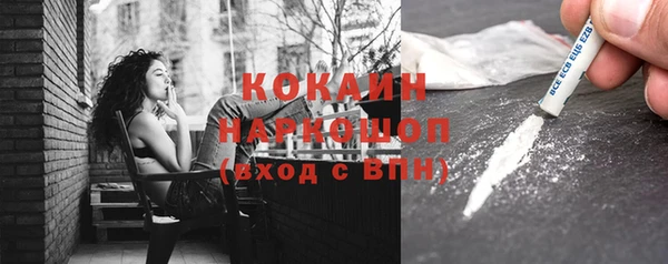 дмт Абаза