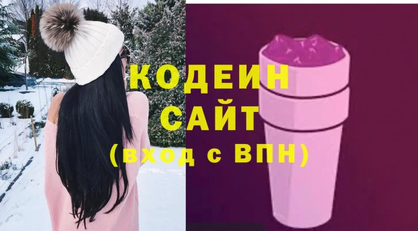 дмт Абаза